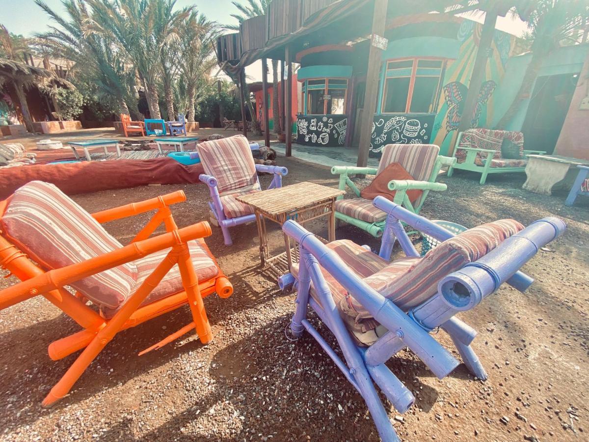 הוסטל Bishbishi Camp דהב מראה חיצוני תמונה