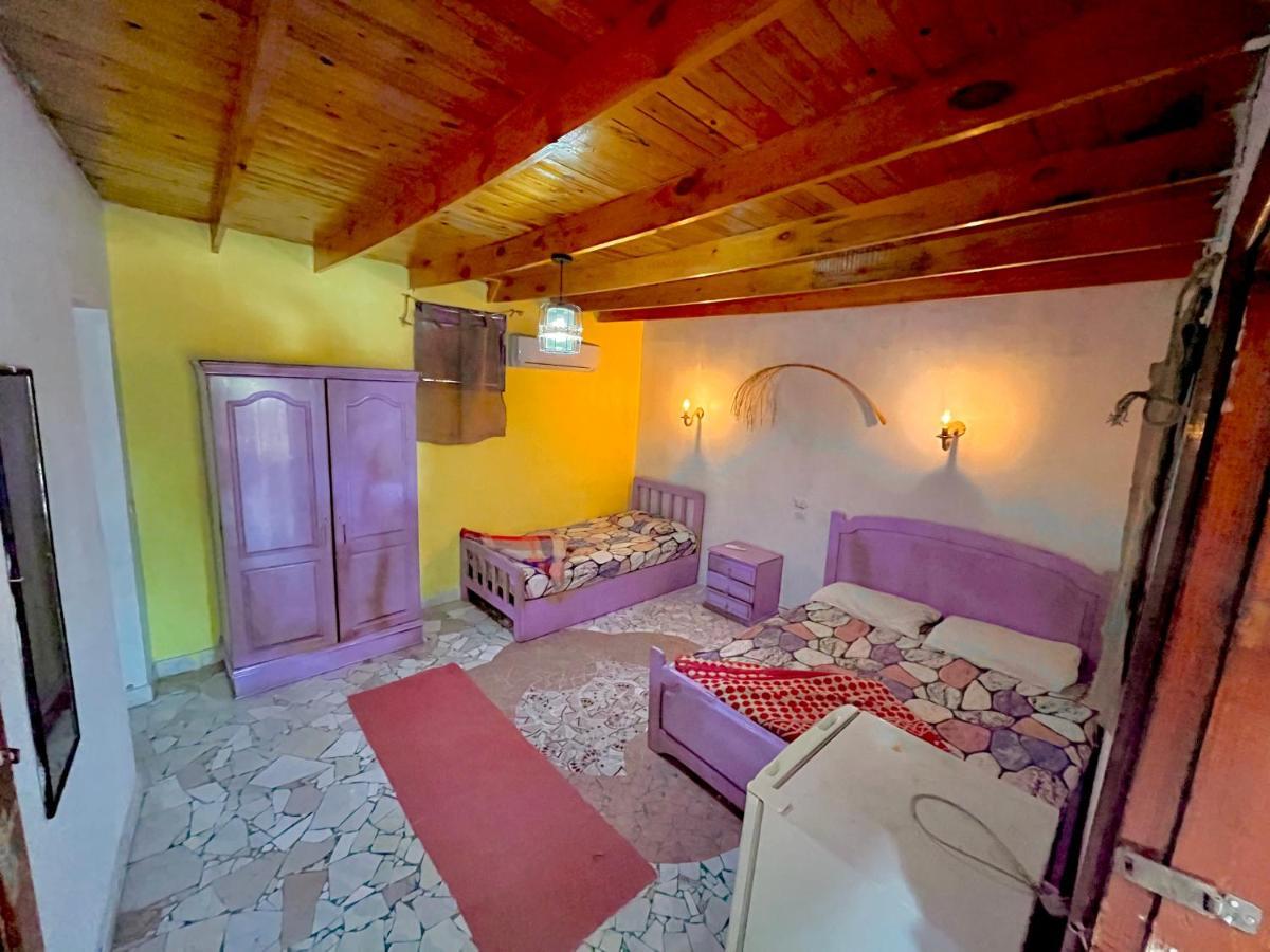 הוסטל Bishbishi Camp דהב מראה חיצוני תמונה